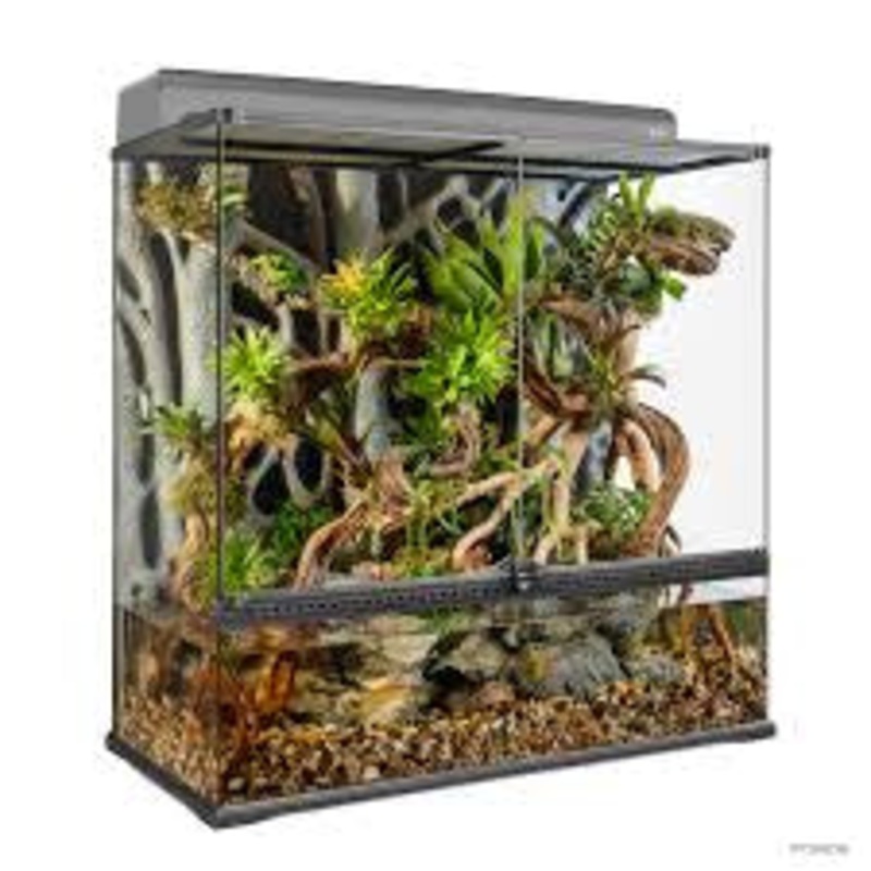 Exo Terra Advanced Paludarium & Rainforest Terrarium - Large X-Tall - 90 W x 45 D x 90 H cm (36" x 18" x 36")