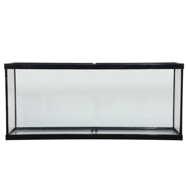 Standard Aquarium - Show - 55 gal