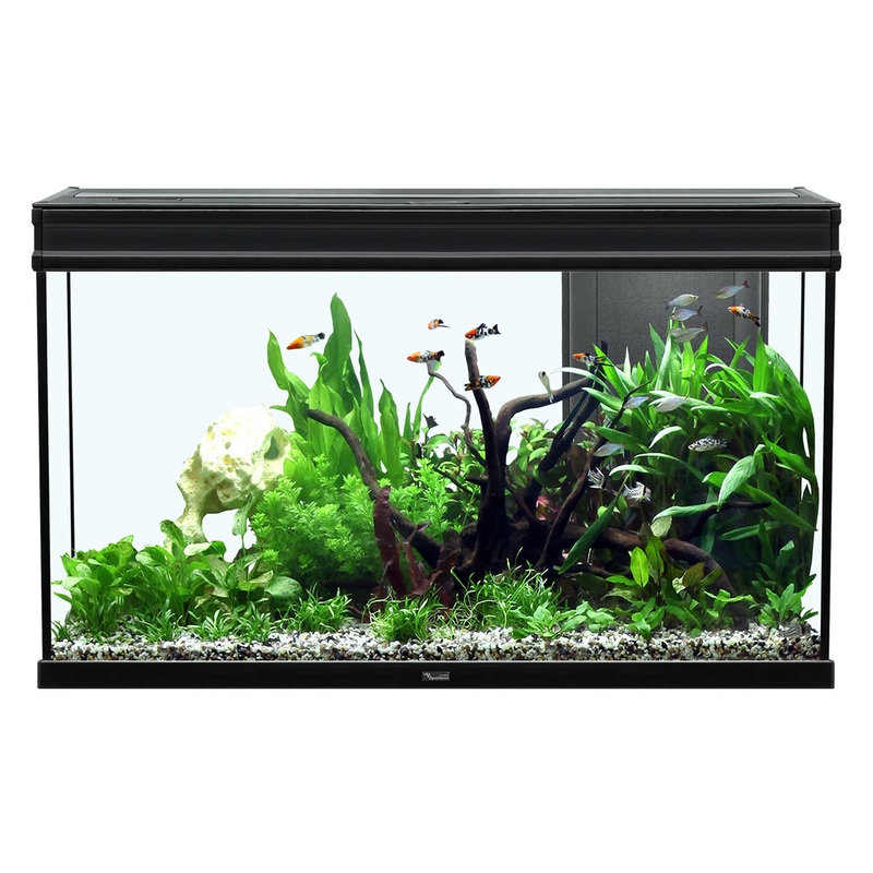 Aquatlantis Elegance Expert 100 Aquarium - Black - 51.5 gal
