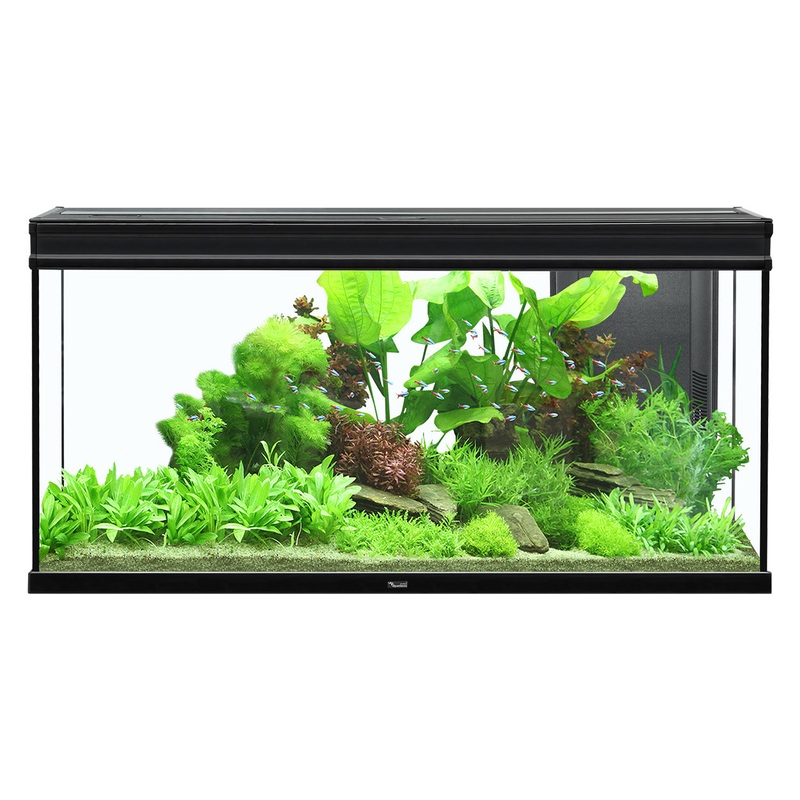 Aquatlantis Elegance Expert 120 Aquarium - Black - 61 gal
