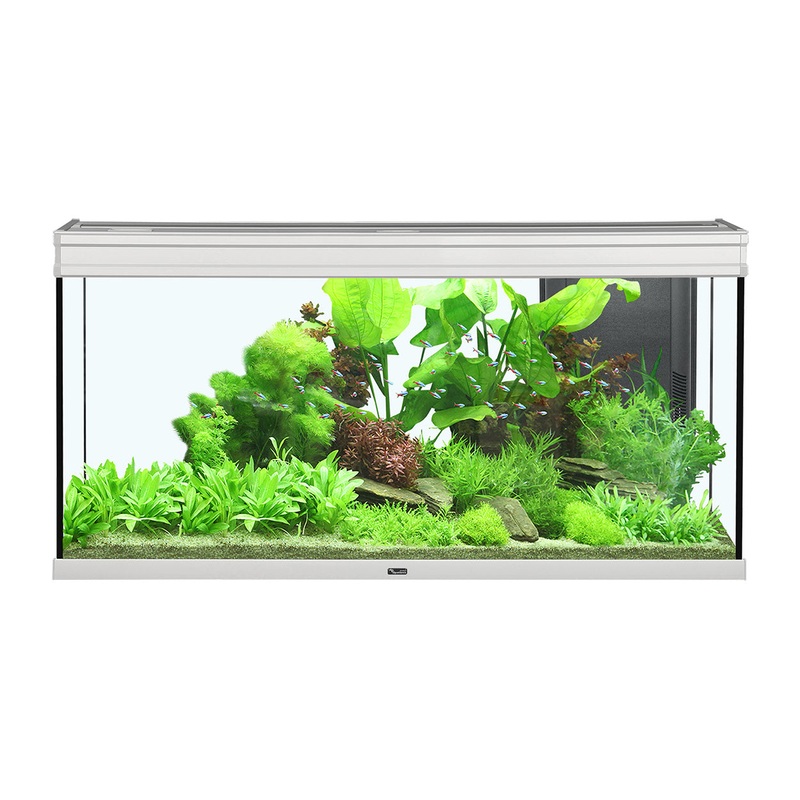 Aquatlantis Elegance Expert 120 Aquarium - Grey - 48" x 16"