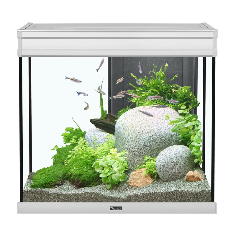 Aquatlantis Elegance Expert 60 Aquarium - Grey - 27.5 gal
