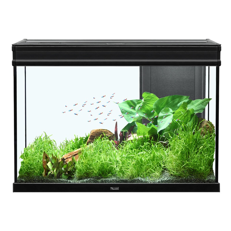 Aquatlantis Elegance Expert 80 Aquarium - Black - 36.5 gal
