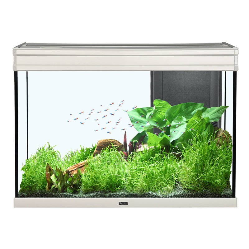 Aquatlantis Elegance Expert 80 Aquarium - Grey - 36.5 gal