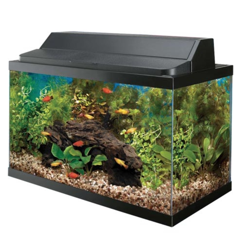 Aqueon Basic Kit Aquarium - 10 gal