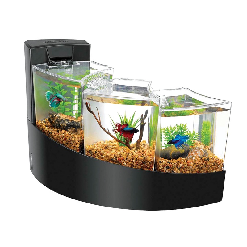 Aqueon Betta Falls - Black