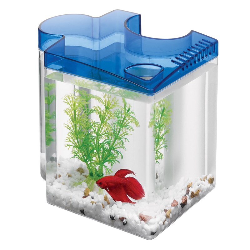 Aqueon Betta Puzzle Aquarium Kit - Blue
