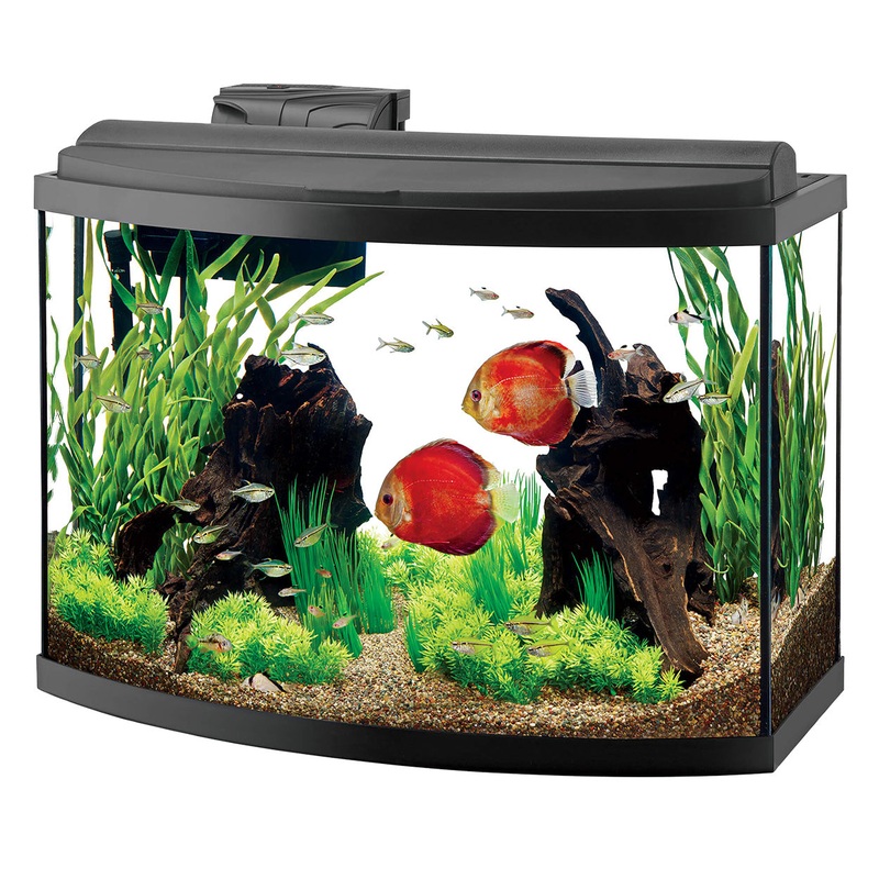 Aqueon Deluxe LED Bow Front Aquarium Kit - 36 gal