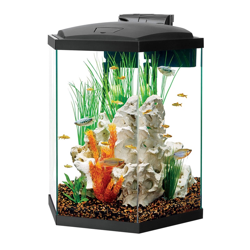 Aqueon Hex LED Aquarium Kit - 35 gal
