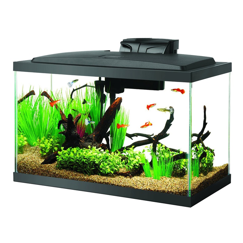 Aqueon LED Aquarium Kit - 10 gal