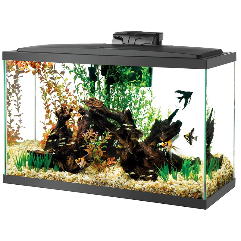 Aqueon LED Aquarium Kit - 29 gal