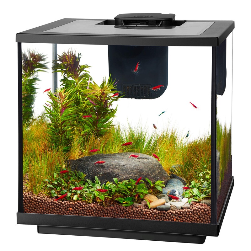 Aqueon LED Shrimp Aquarium Kit - 7.5 gal