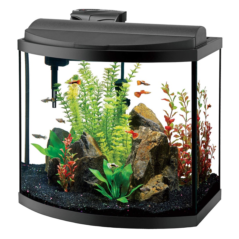 Deluxe LED Bow Front Aquarium Kit - 16 gal