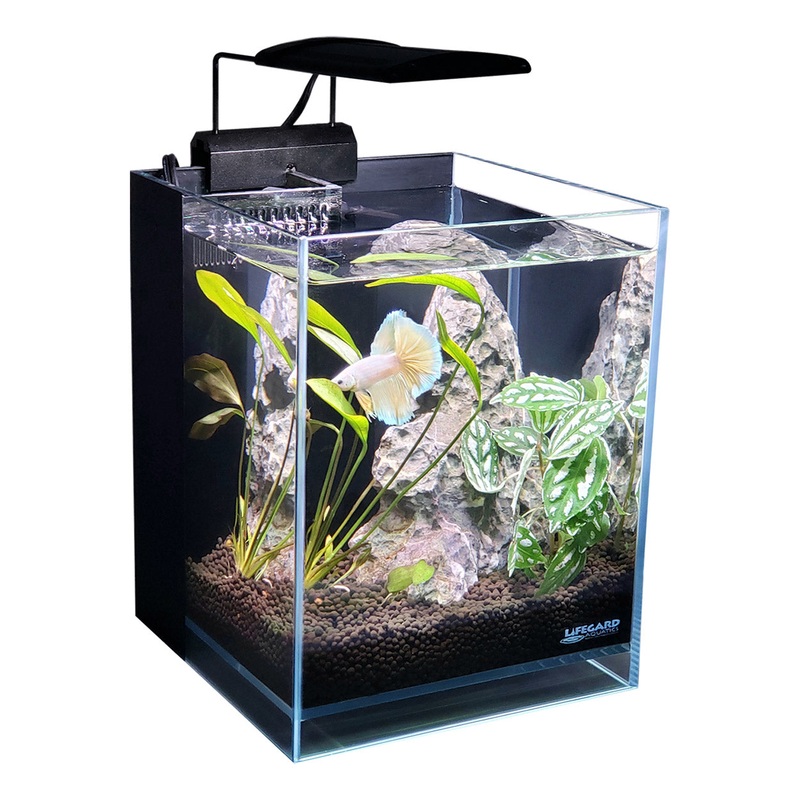 Lifegard Aquatics 45 Betta Low Iron Ultra Clear Aquarium - 2.65 gal - 7.87" x 7.87"