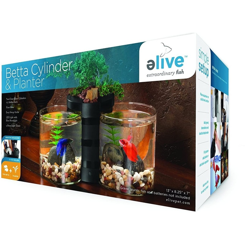 E Live Betta Cylinder & Planter