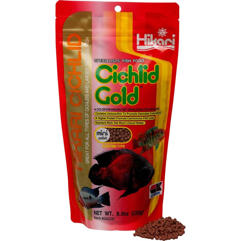 Hikari Cichlid Gold Mini Pellet 8oz