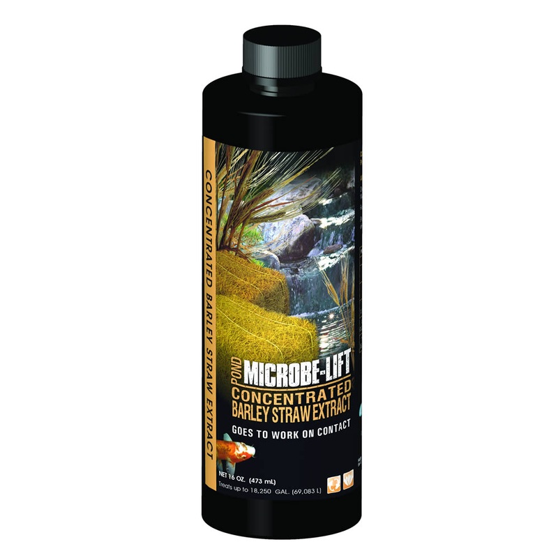 Microbe-Lift Concentrated Barley Straw Extract - 16 oz