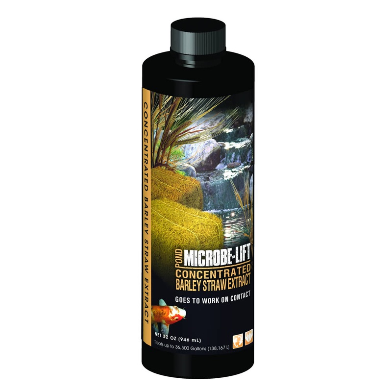 Microbe-Lift Concentrated Barley Straw Extract - 32 oz