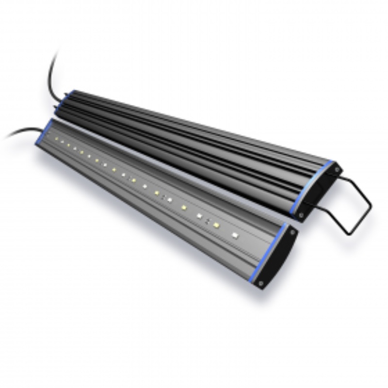 AquaticLife Reno LED 24 IN 9W Blue/White Marine