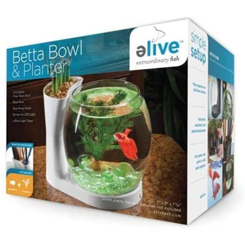 Elive Betta Bowl and Planter, White, .75 Gallon