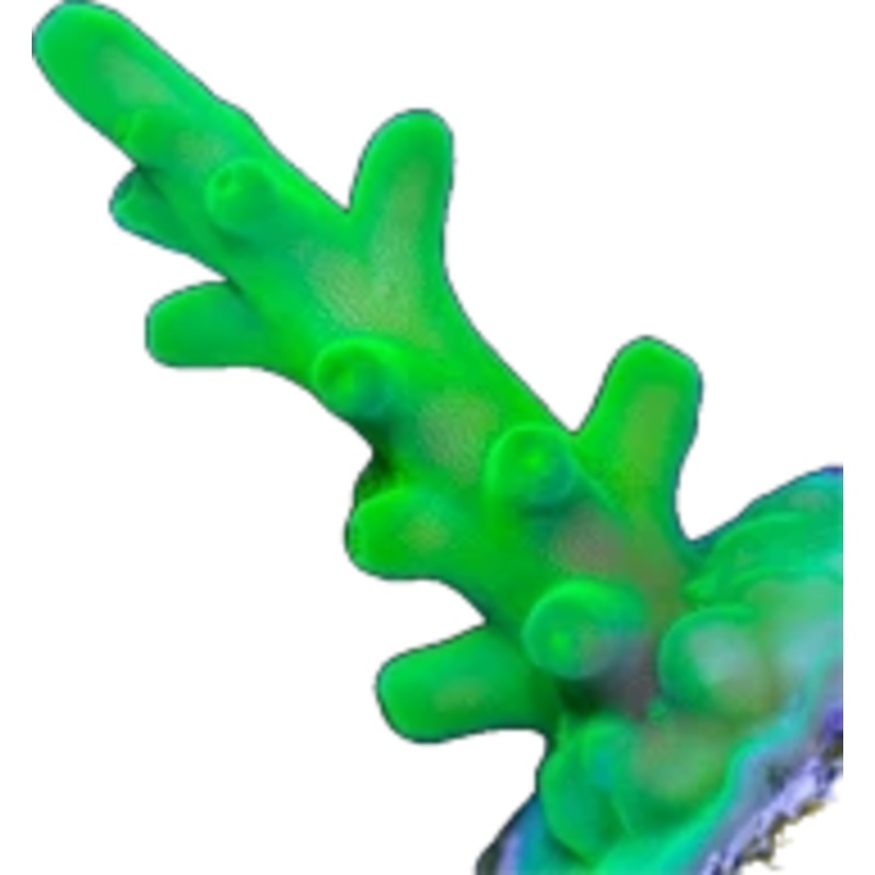 Green Dragon Frag LG