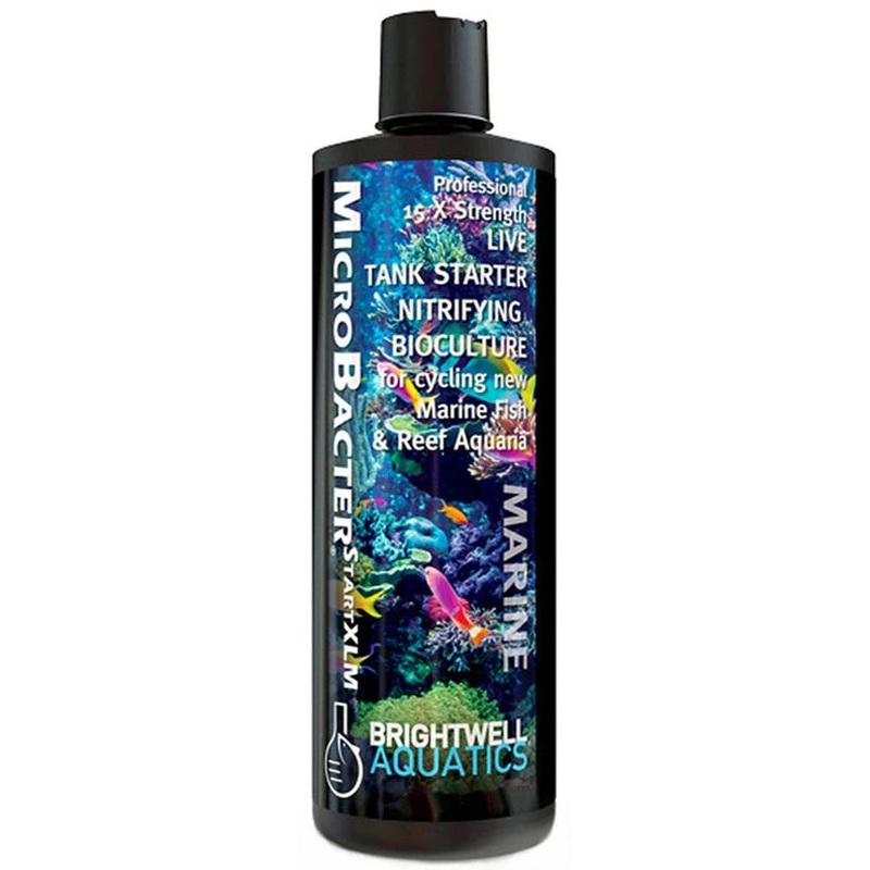 Brightwell Aquatics MicroBacter Start XLM 125 ml