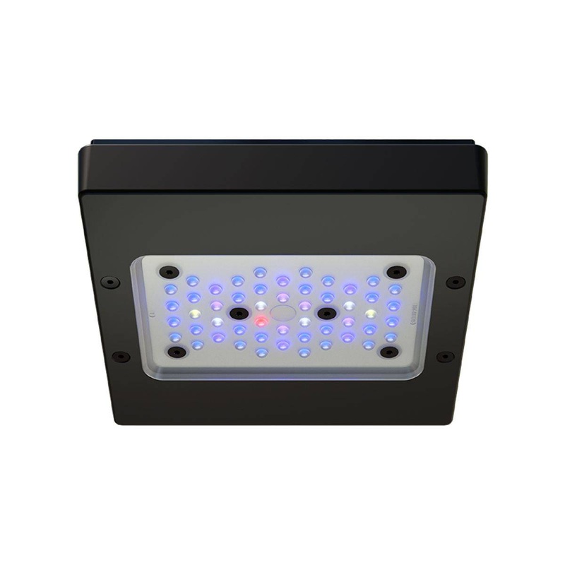 Ecotech RADION XR15 G6 BLUE LED LIGHT