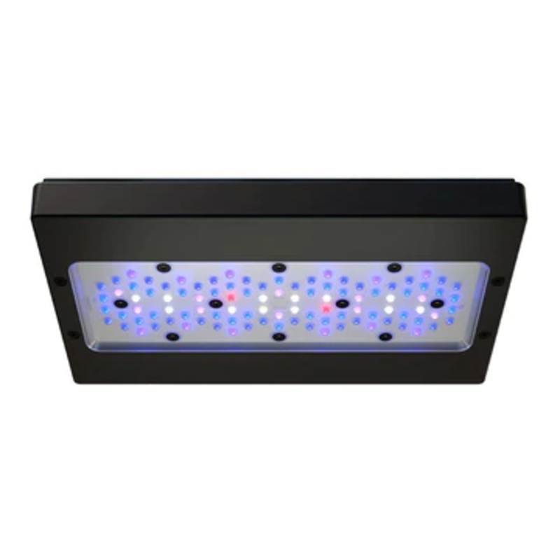 ECOTECH RADION XR30 G6 BLUE LED LIGHT