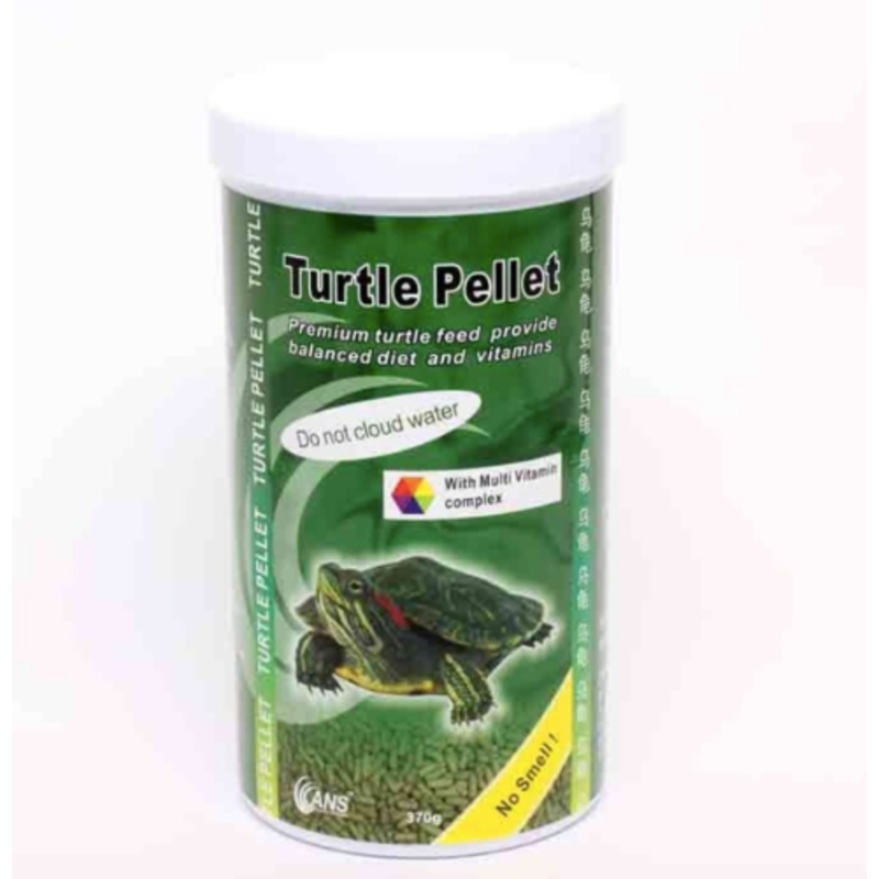 ANS Turtle Feed