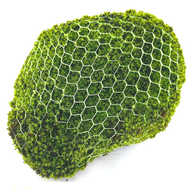 Wabi Kusa (Starmoss / Non Aquatic)