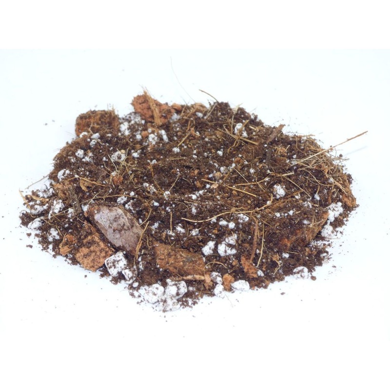 TERRA POTS Terrarium Soil Mix (5Kg)