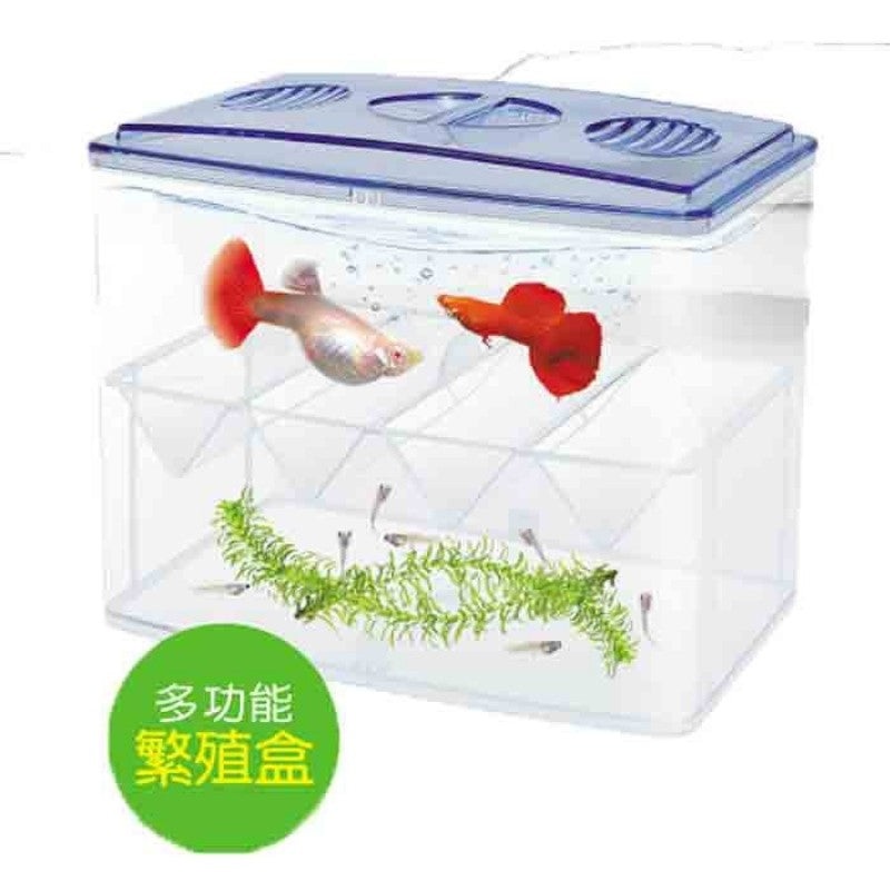 UP D-652 Breeder Box