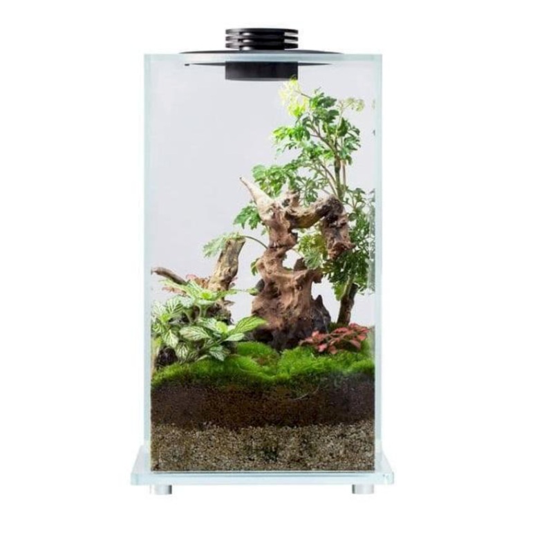 BIOLOARK LED Glass Jar FD Series