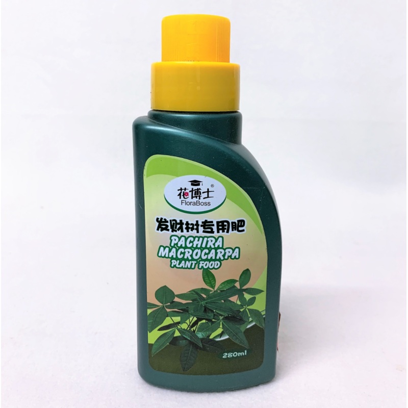 FLORABOSS Pachira Macrocarpa Plant Food (280ml)