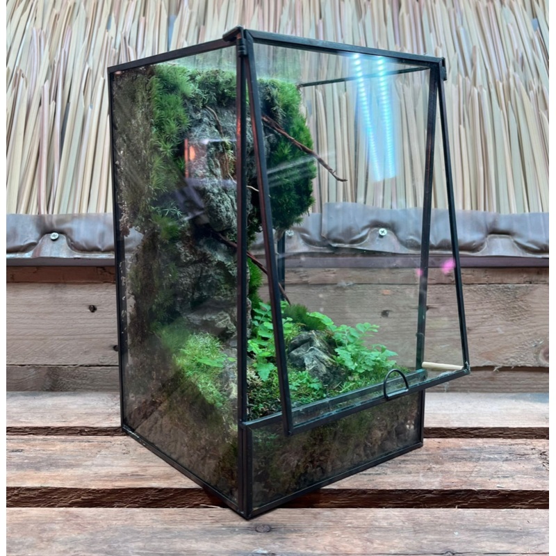 CUSTOM DESIGN Terrarium (Geometric Front Flap / 15x15x25cm)