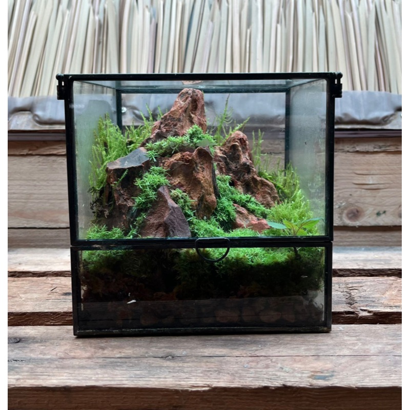 CUSTOM DESIGN Terrarium (Geometric Front Flap / 16x16x16cm)