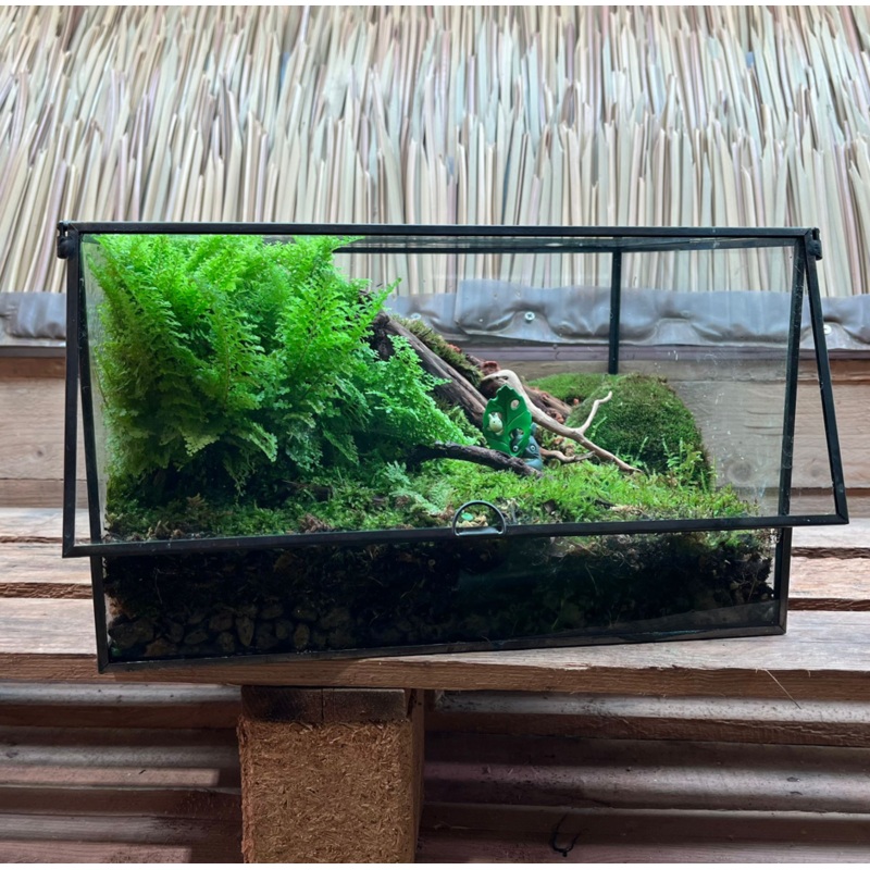 CUSTOM DESIGN Terrarium (Geometric Front Flap / 30x24x18cm)