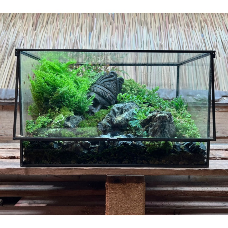 CUSTOM DESIGN Terrarium (Geometric Front Flap / 36x26x26cm)