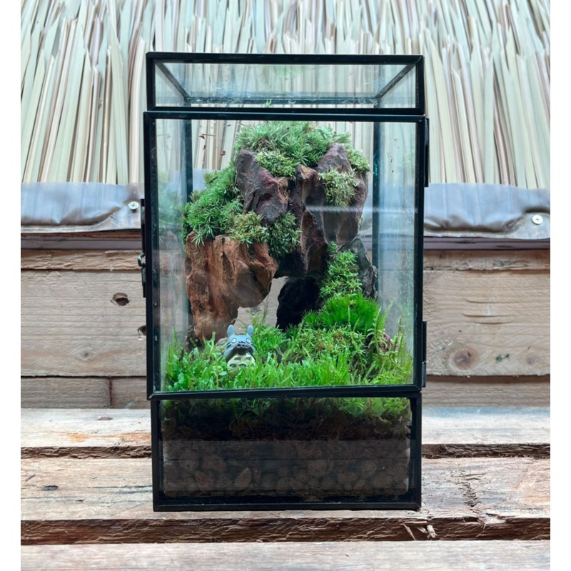 CUSTOM DESIGN Terrarium (Geometric Side Flap / 12x12x20cm)