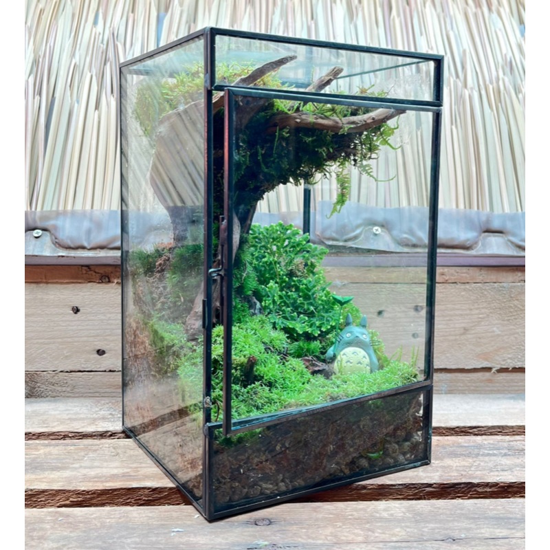 CUSTOM DESIGN Terrarium (Geometric Side Flap / 15x15x25cm)