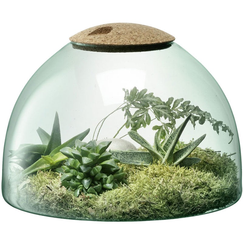 EDENS GARDEN x LSA Glass Dome