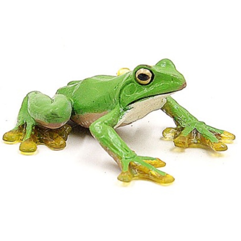 GCS Figurine Litoria caerulae  Frog (6cm)