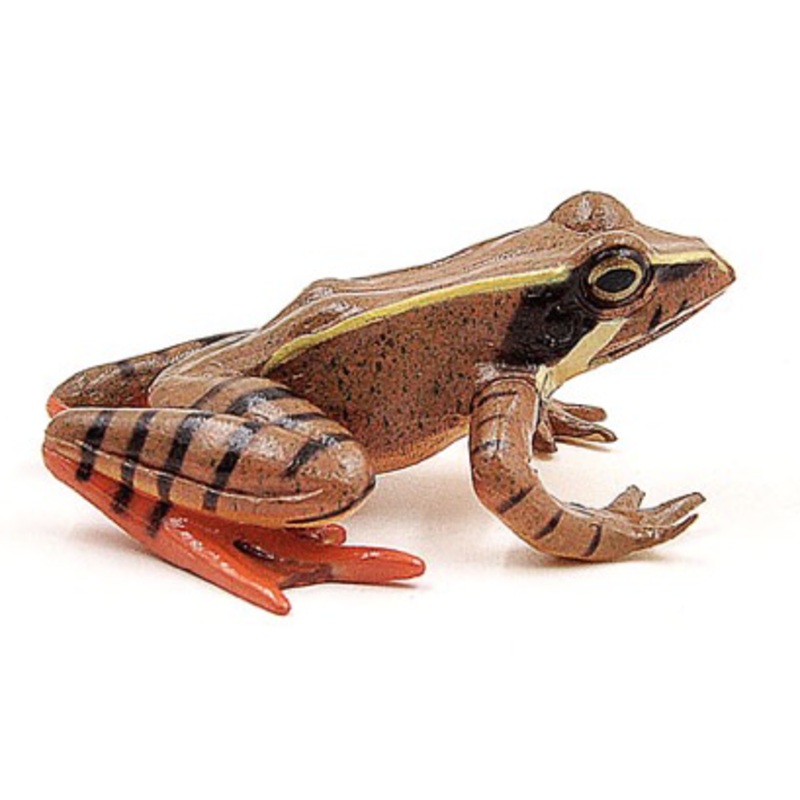 GCS Figurine Nihon Akagaeru Frog (6.6cm)