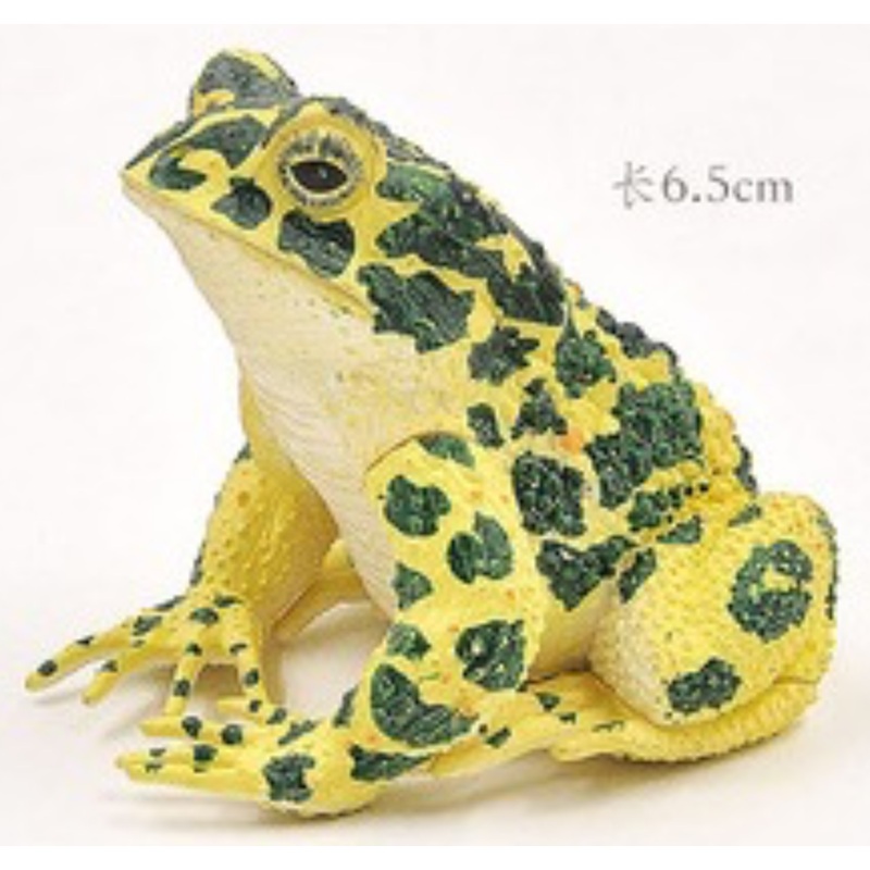 GCS Figurine Rana tigerina (6.5cm)
