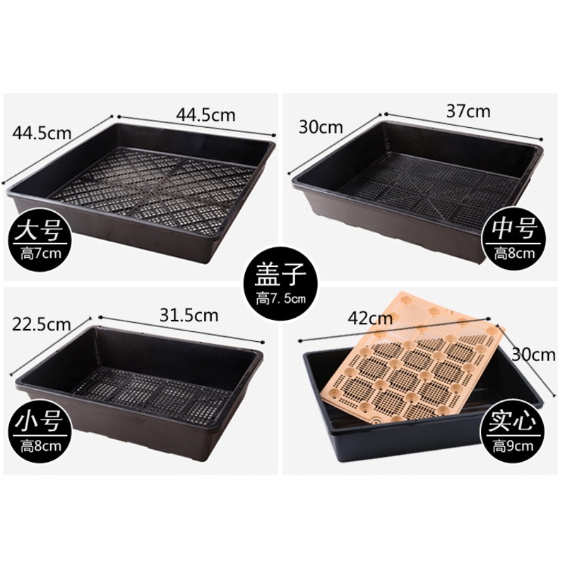Plant Seedlings Nursery Box (transparent top cover)