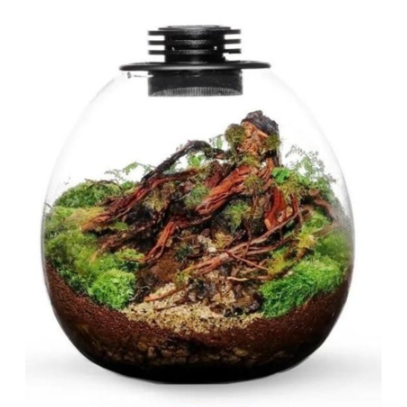 BIOLOARK LED Glass Jar PD Series