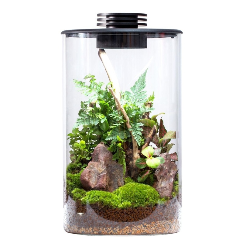 BIOLOARK LED Glass Jar ZD Series