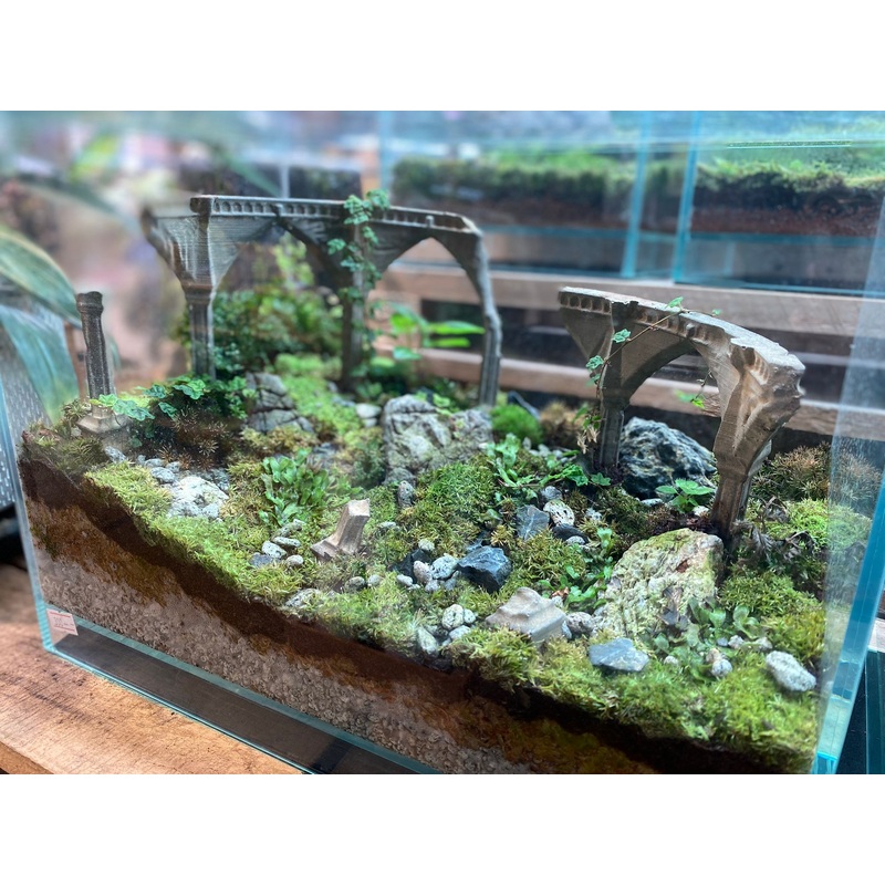 CUSTOM DESIGN Terrarium B300 (Sky Box / 36x22x26cm)