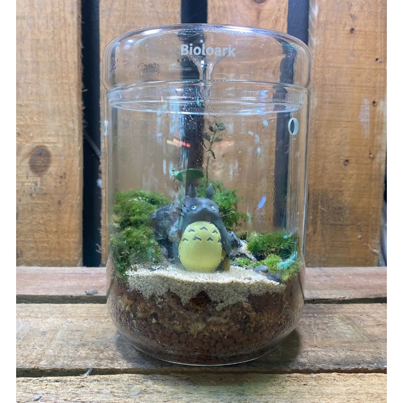 DOORGIFT TERRARIUMS Bioloark MY120H Pack (20 Sets)