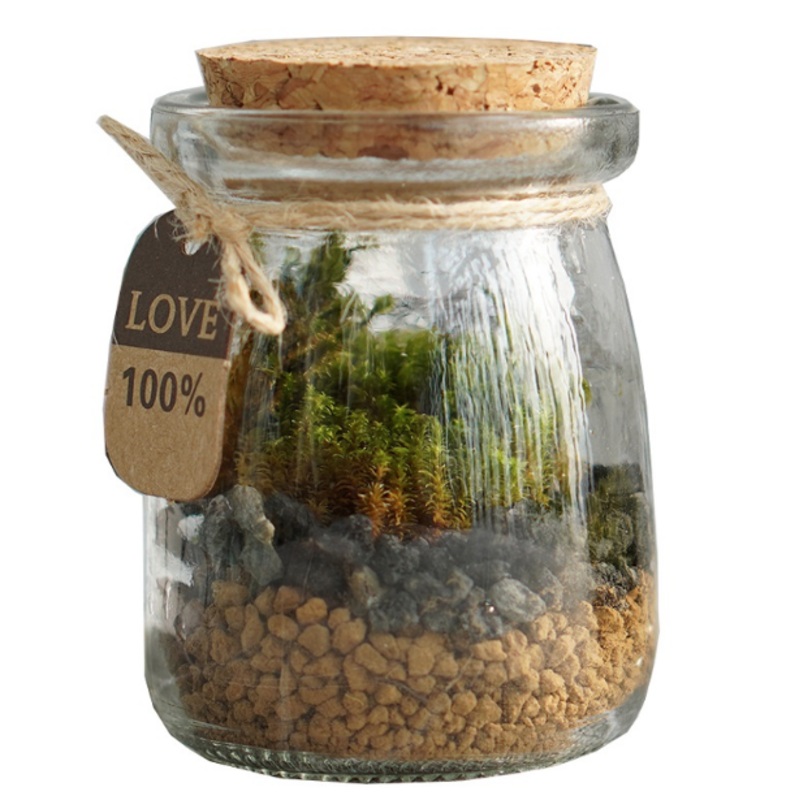 DOORGIFT TERRARIUMS MiniMini Pack (Cork Cap / 100 Sets)
